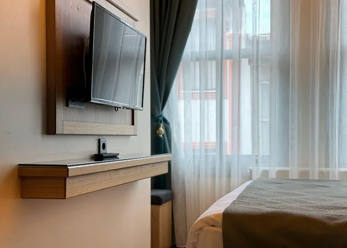Abelia Mansion 4*