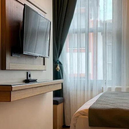 Abelia Mansion 4*