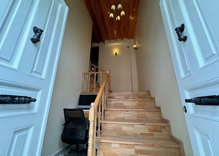 Abelia Mansion Provincia di Istanbul