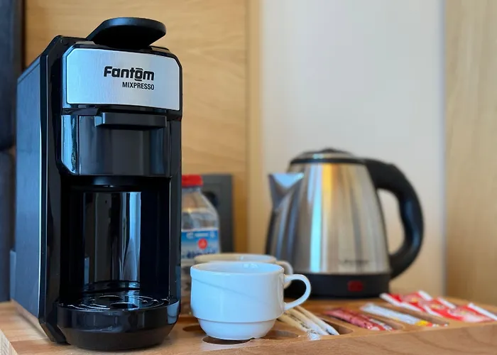 Hotel Abelia Mansion Provincia di Istanbul