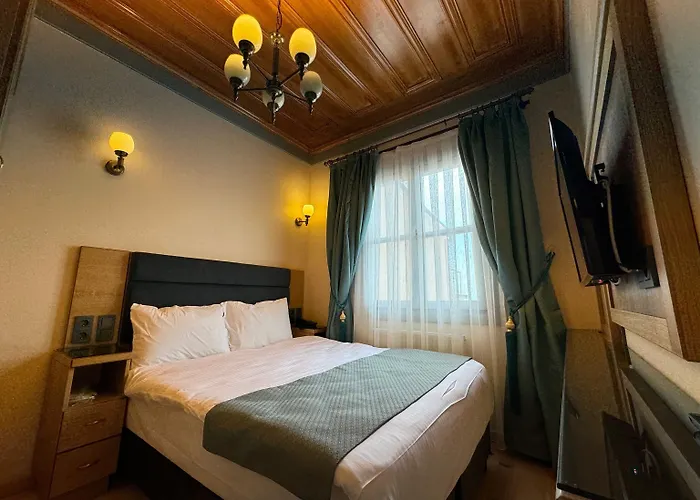 Abelia Mansion Provincia di Istanbul