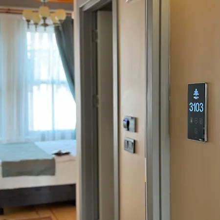 Abelia Mansion 4* Стамбул